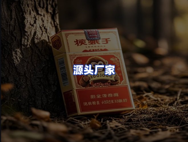 专业团队